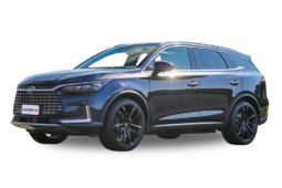 BYD Tan